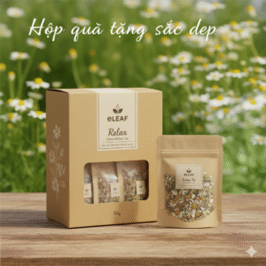 Set Quà Tặng Sức Khoẻ